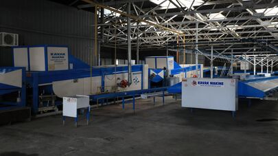 В Аджарии открылся новый завод по переработке цитрусовых