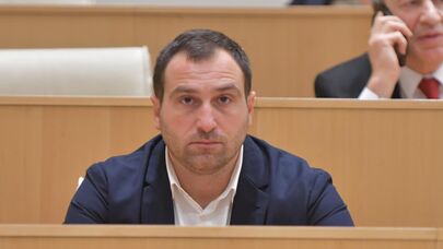 Депутат от правящей партии "Грузинская мечта – демократическая Грузия" Ираклий Кирцхалия