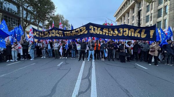 Акция протеста сторонников оппозиции в столице Грузии 20 октября 2024 года - Sputnik Грузия