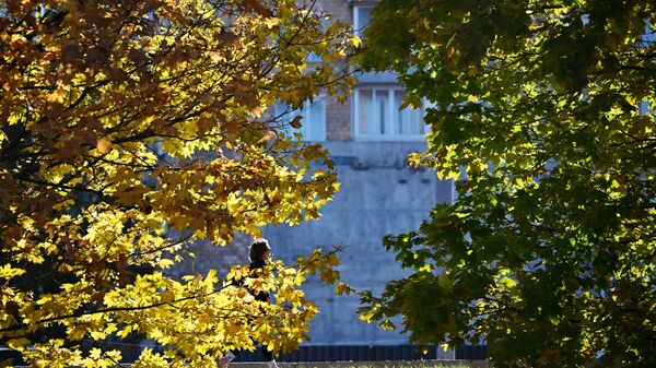 შემოდგომა - Sputnik საქართველო