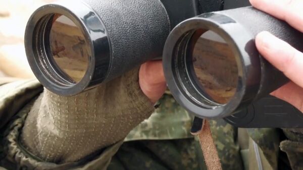 Военнослужащий смотрит в бинокль, архивное фото - Sputnik Грузия