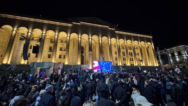 В парламент или в суд – прогноз для оппозиции от «Грузинской мечты»