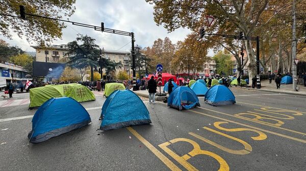 Палаточный городок оппозиции. Акция протеста у здания ТГУ 18 ноября 2024 года - Sputnik Грузия