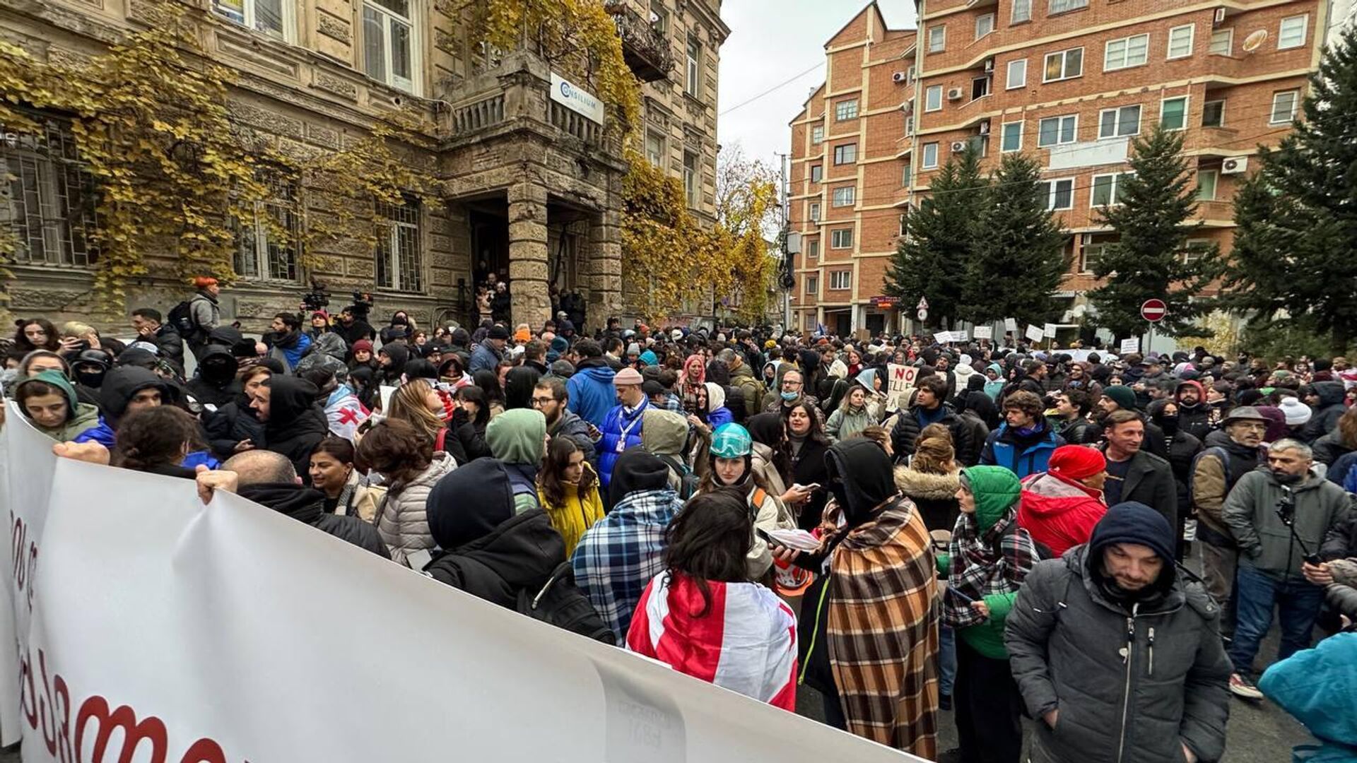 Полиция. Спецназ. Акция протеста объединенной оппозиции 25 ноября 2024 года - Sputnik Грузия, 1920, 25.11.2024