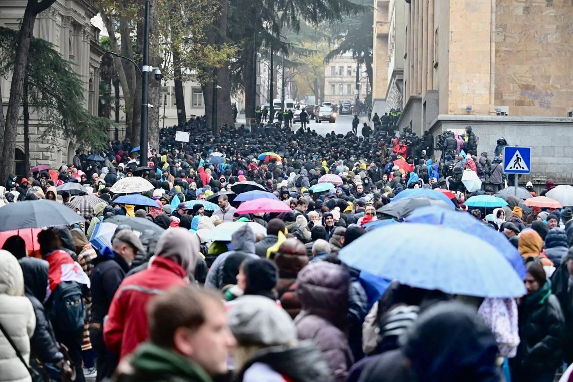 Акция протеста у здания парламента Грузии 25 ноября, во время первого заседания - Sputnik Грузия, 1920, 25.11.2024