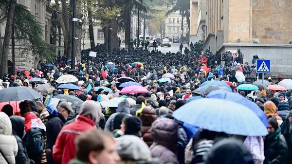 Акция протеста у здания парламента Грузии 25 ноября, во время первого заседания - Sputnik Грузия