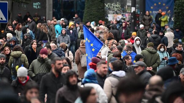 Акция протеста у здания парламента Грузии 25 ноября, во время первого заседания - Sputnik Грузия