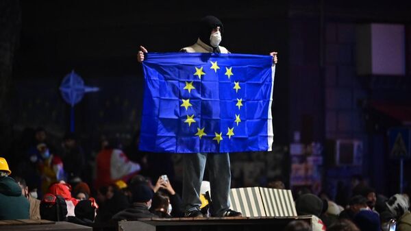 Разгон массовых протестов объединённой оппозиции в столице Грузии в ночь на 1 декабря 2024 года - Sputnik Грузия