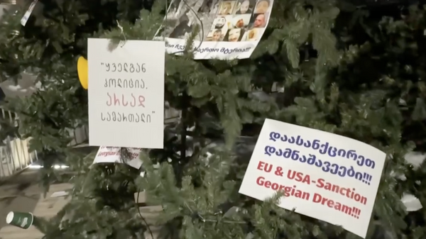 К новогодней елке у парламента Грузии оппозиция прикрепила плакаты — видео