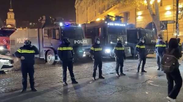 Полиция задержала протестующего в Тбилиси за оскорбления - видео - Sputnik Грузия