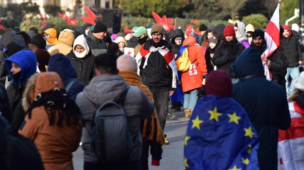2014 წლის 14 დეკემბერი. აქციები თბილისში - Sputnik საქართველო