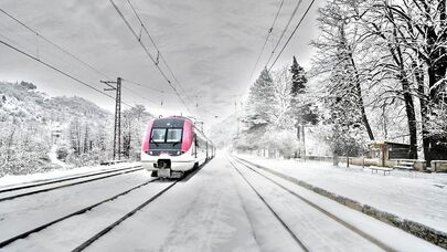Поезд. Грузия. Снежная погода