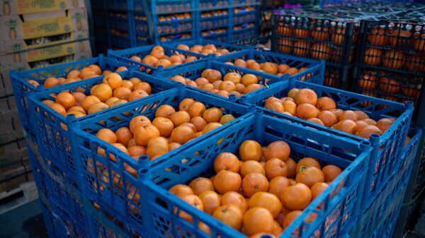 Мандарины на одном из крупных рынков Армении - Sputnik Грузия