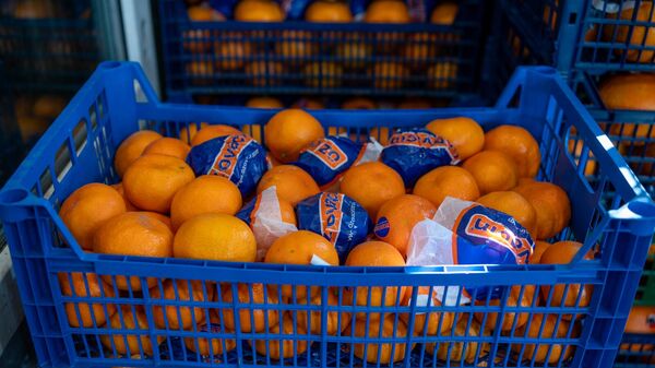 Мандарины на одном из крупных рынков Армении - Sputnik Грузия