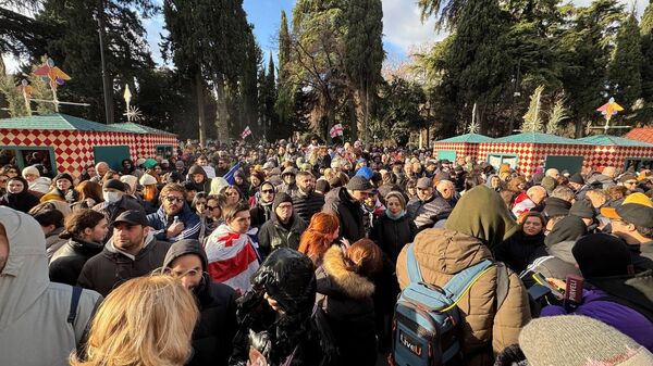 Акция протеста у здания резиденции президента Грузии на улице Атонели 29 декабря 2024 года - Sputnik Грузия