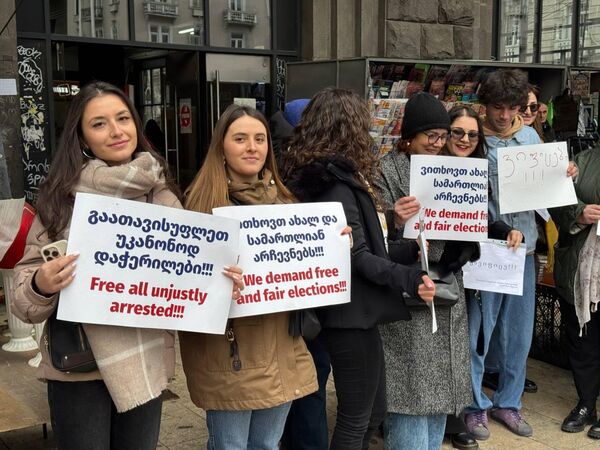 Основными требованиями забастовки стали проведение новых парламентских выборов и выражение недовольства правительством, которое, по мнению участников, не отвечает интересам граждан. - Sputnik Грузия