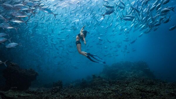 Снимок малайзийского фотографа Khaichuin Sim, победивший в категории RISING TALENT конкурса 2024 Travel Photographer of the Year - Sputnik Грузия