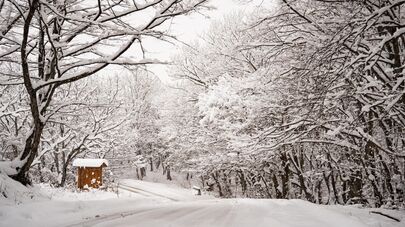 Снег в Кахети