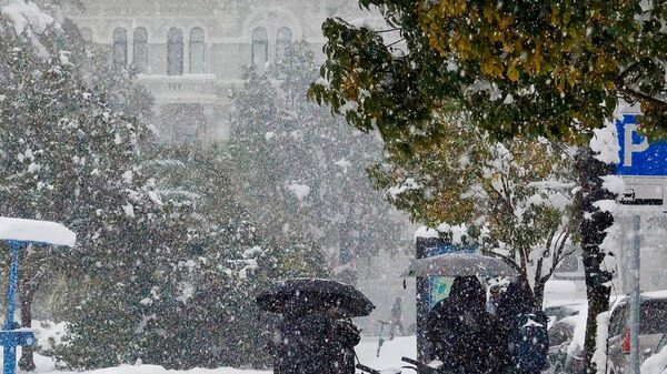 თოვლიანი ამინდი - Sputnik საქართველო