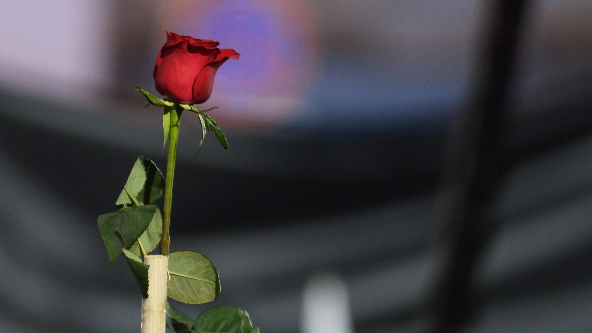 На митинге сторонников Михаила Саакашвили На митинге сторонников Михаила Саакашвили - Sputnik Грузия, 1920, 25.09.2025