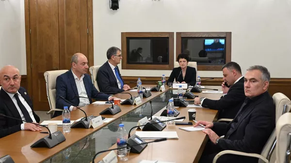 Заседание временной следственной комиссии в парламенте Грузии по расследованию преступлений, совершенных бывшей правящей партией Единое национальное движение - Sputnik Грузия
