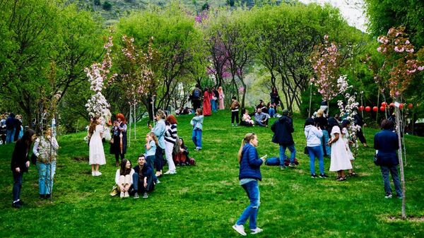 თბილისში საკურას ყვავილობის დღეები აღნიშნეს - ვიდეო - Sputnik საქართველო
