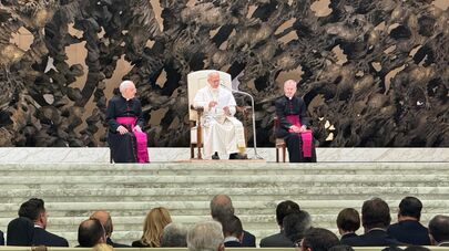 Аудиенция папы римского Льва XIV в Ватикане