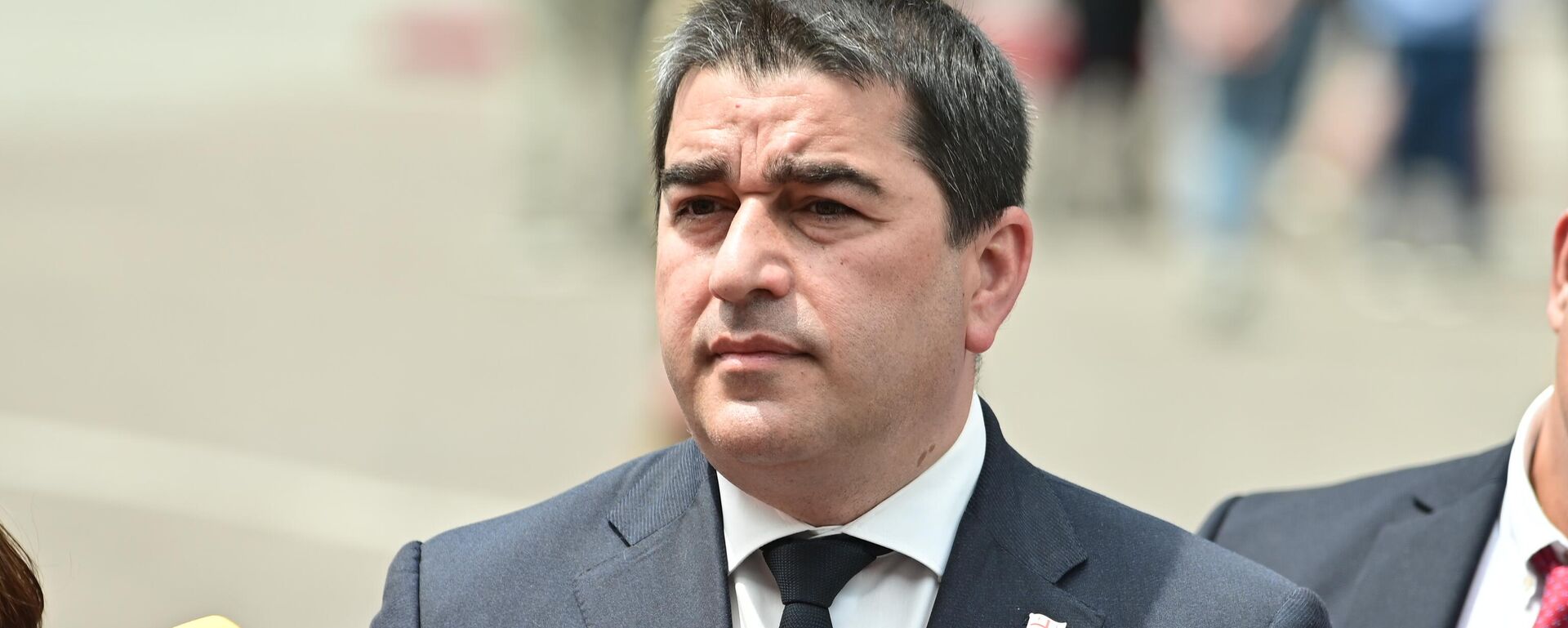 Шалва Папуашвили на праздновании Дня независимости Грузии - Sputnik Грузия, 1920, 25.10.2025