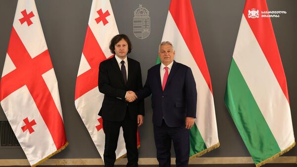 საქართველოსა და უნგრეთის პრემიერ-მინისტრები ირაკლი კობახიძე და ვიქტორ ორბანი - Sputnik საქართველო