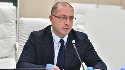 Депутат от правящей партии "Грузинская мечта" Гиви Миканадзе