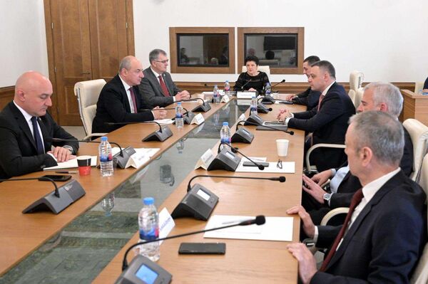 Парламентская следственная комиссия, расследующая преступления, совершенные в годы правления Единого национального движения - Sputnik Грузия