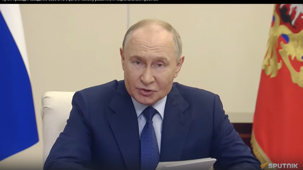 Путин провел заседание Совета по стратегическому развитию РФ - видео - Sputnik Грузия