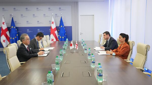 მარიამ ქვრივიშვილი შეხვედრაზე იაპონიის ელჩთან - Sputnik საქართველო