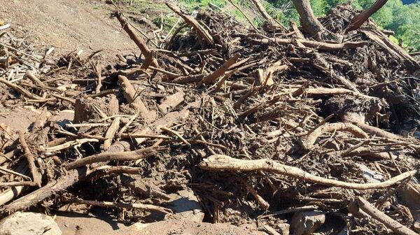 Оползень на западе Грузии - Sputnik Грузия