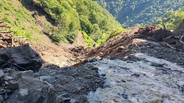 Оползень на западе Грузии - Sputnik Грузия