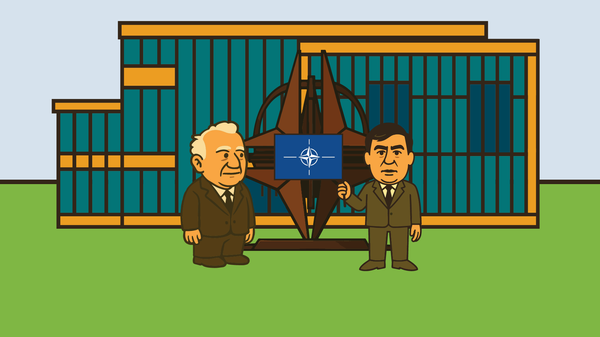 Прощай, НАТО! Грузия устала стоять у открытых дверей