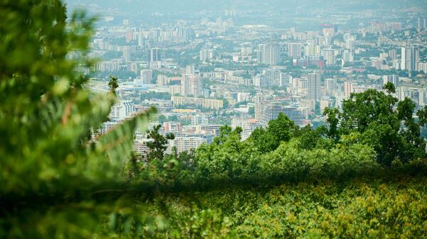 Тбилиси, парк Мтацминда в летнюю жару в августе - Sputnik Грузия