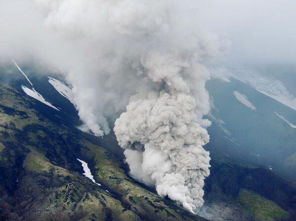Вулкан Крашенинникова расположен на территории Кроноцкого государственного биосферного заповедника.  - Sputnik Грузия