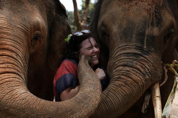 Туристка с двумя слонами в Деревне свободы слонов в Таиланде. - Sputnik Грузия