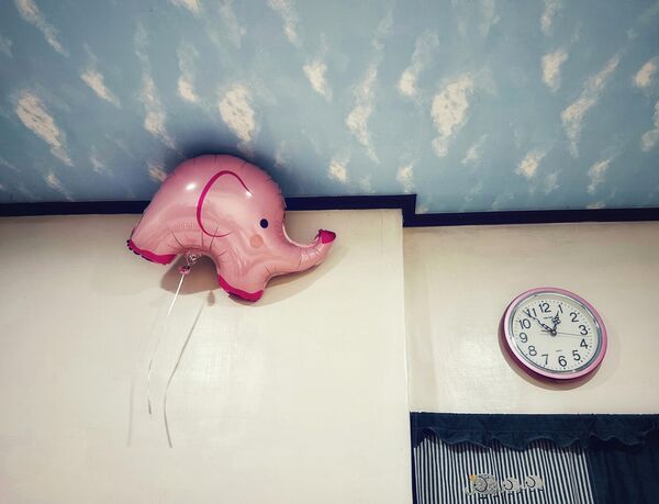 Снимок &quot;Кто потерял воздушный шарик в виде слона?&quot; фотографа из Тайваня Лео Хуана, победивший в категории Lifestyle конкурса IPPAWARDS 2025. - Sputnik Грузия