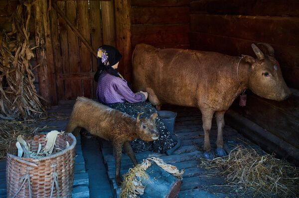 Находятся на территории музея и целые композиции, причем сохранена с максимальной точностью вся обстановка того времени. - Sputnik Грузия