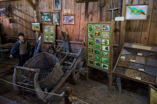 Вся территория в зелени, везде деревья, расположен там и 11-метровый водопад. - Sputnik Грузия