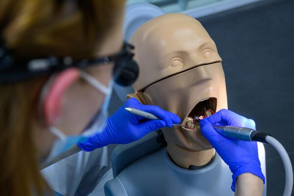 Студентка  стоматологического факультета препарирует зуб на муляже в новом симуляционном зале Медицинского университета Halle/Saale в Германии. - Sputnik Грузия