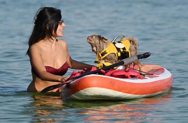 Девушка с собакой на сапборде во время фестиваля ЗарядФЕСТ в Большом Строгинском затоне в Москве - Sputnik Грузия