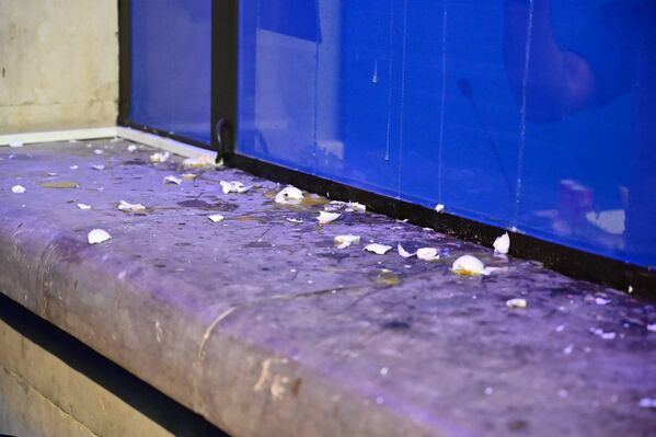 Протестующие кидали в здание яйца. - Sputnik Грузия