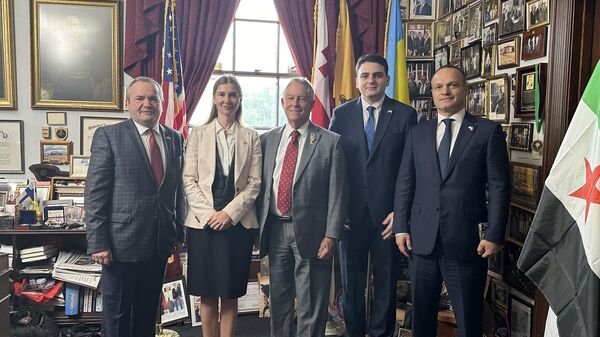 Встреча оппозиции в кабинете конгрессмена Уилсона  - Sputnik Грузия