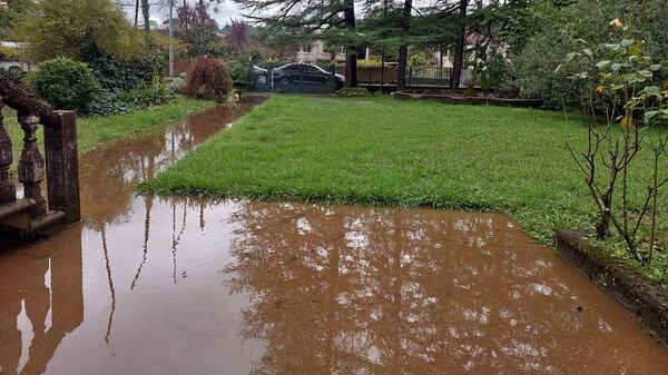 დატბორილი საკარმიდამო ნაკვეთი - Sputnik საქართველო