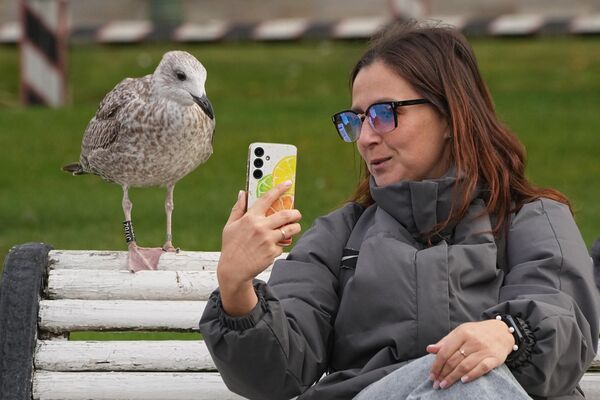 Женщина делает селфи с чайкой в ​​парке в Санкт-Петербурге. - Sputnik Грузия