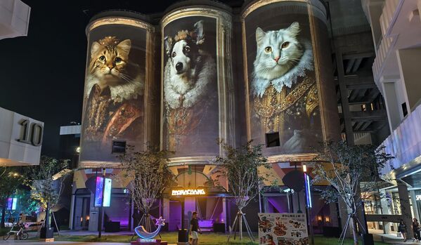 Подготовка к туристическому мероприятию &quot;Освети Шанхай&quot; в Китае. - Sputnik Грузия