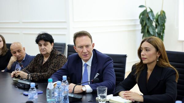 Встреча с бизнесом в министерстве  - Sputnik Грузия
